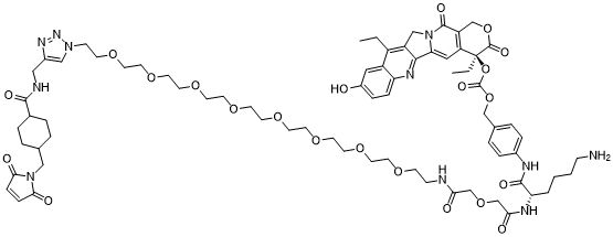 CL2A-SN-38