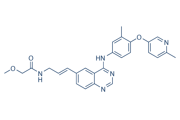 CP-724714 chemical structure