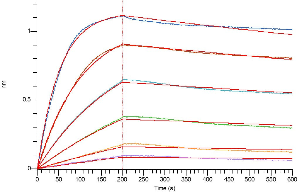 Recombinant Human CD3E (C-Fc)