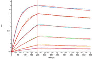 Recombinant Human CD3E (C-Fc)