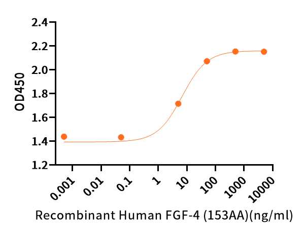 Recombinant Human FGF-4 (153AA)