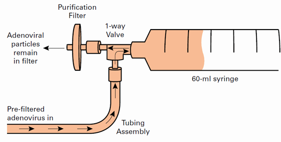 Adenovirus purification kits - Gene function - Takara Bio