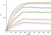 Recombinant Mouse Leptin