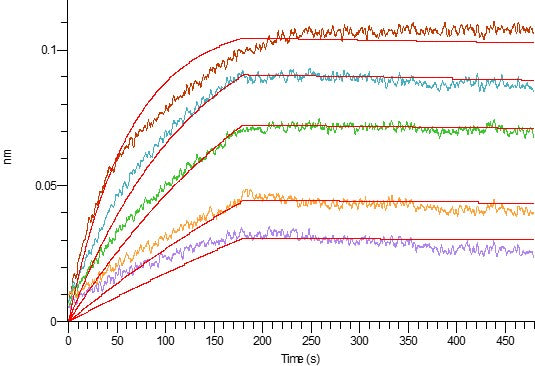Recombinant Mouse Leptin
