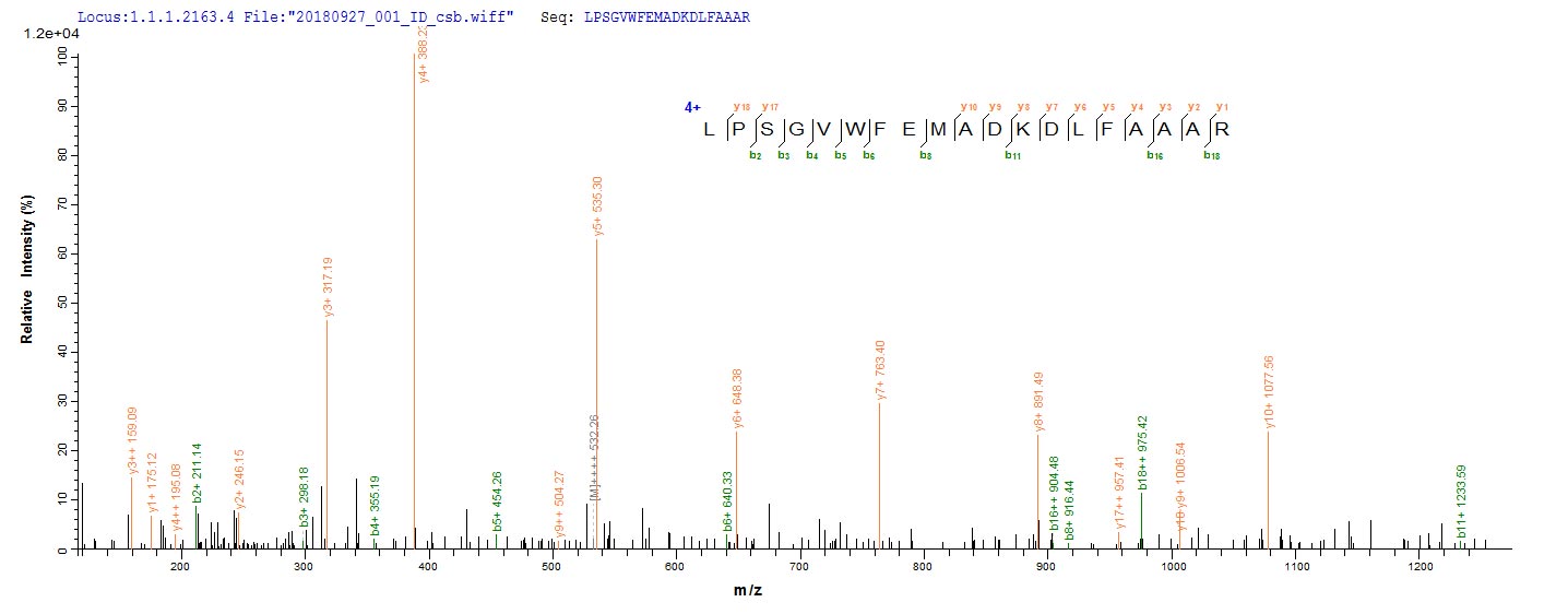 Recombinant Vesicular stomatitis Indiana virus Glycoprotein G (G), partial