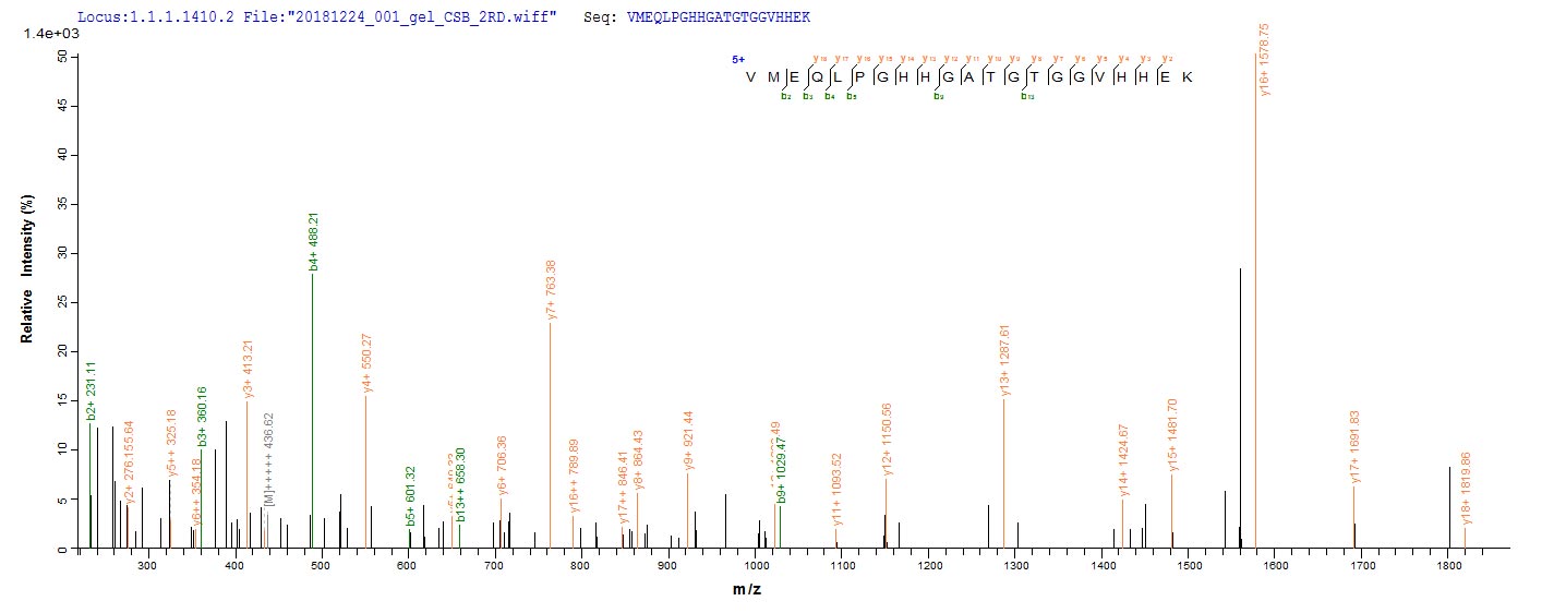 Recombinant Arabidopsis thaliana Dehydrin Xero 2 (XERO2)