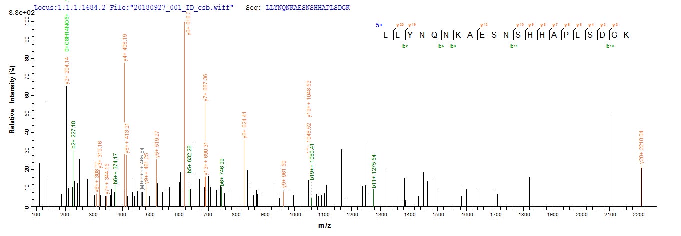 Recombinant Aspergillus giganteus Ribonuclease alpha-sarcin (sar)