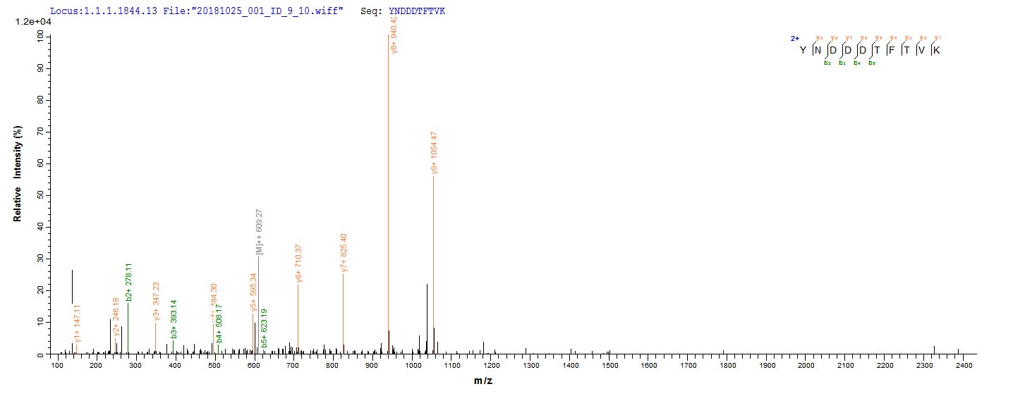 Recombinant Shigella dysenteriae serotype 1 Shiga toxin subunit B (stxB)