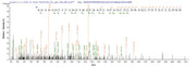 Recombinant Mouse cGMP-specific 3,5-cyclic phosphodiesterase (Pde5a), partial
