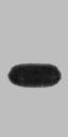Western blot analysis of recombinant mOrange protein, diluted at 1:10000.