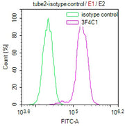 Overlay Peak curve showing Hela cells stained with CSB-MA010418PA28ph01HU (red line) at 1:100. The cells were incubated in 10% normal goat serum to block non-specific protein-protein interactions followed by the antibody (1µg/1*106cells) for 1h at...