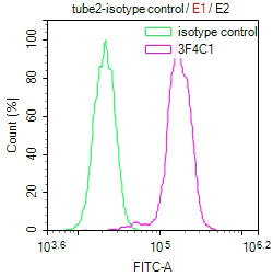 Overlay Peak curve showing Hela cells stained with CSB-MA010418PA28ph01HU (red line) at 1:100. The cells were incubated in 10% normal goat serum to block non-specific protein-protein interactions followed by the antibody (1µg/1*106cells) for 1h at...