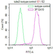 Overlay Peak curve showing Hela cells stained with CSB-MA010418PA28ph02HU (red line) at 1:100. The cells were incubated in 10% normal goat serum to block non-specific protein-protein interactions followed by the antibody (1µg/1*106cells) for 1h at...