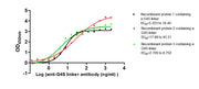 The Binding Activity of G4S linker with Anti-G4S linker antibody Activity: Measured by its binding ability in a functional ELISA. Immobilized Three recombinant proteins containing G4S linker at 2 ug/mL can bind Anti-G4S linker antibody. The EC50 i...