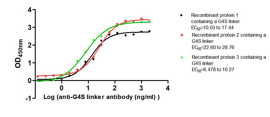 The Binding Activity of G4S linker with Anti-G4S linker antibody Activity: Measured by its binding ability in a functional ELISA. Immobilized Three recombinant proteins containing G4S linker at 2 ug/mL can bind Anti-G4S linker antibody. The EC50 i...