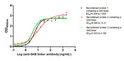 The Binding Activity of G4S linker with Anti-G4S linker antibody Activity: Measured by its binding ability in a functional ELISA. Immobilized Three recombinant proteins containing G4S linker at 2 ug/mL can bind Anti-G4S linker antibody. The EC50 i...