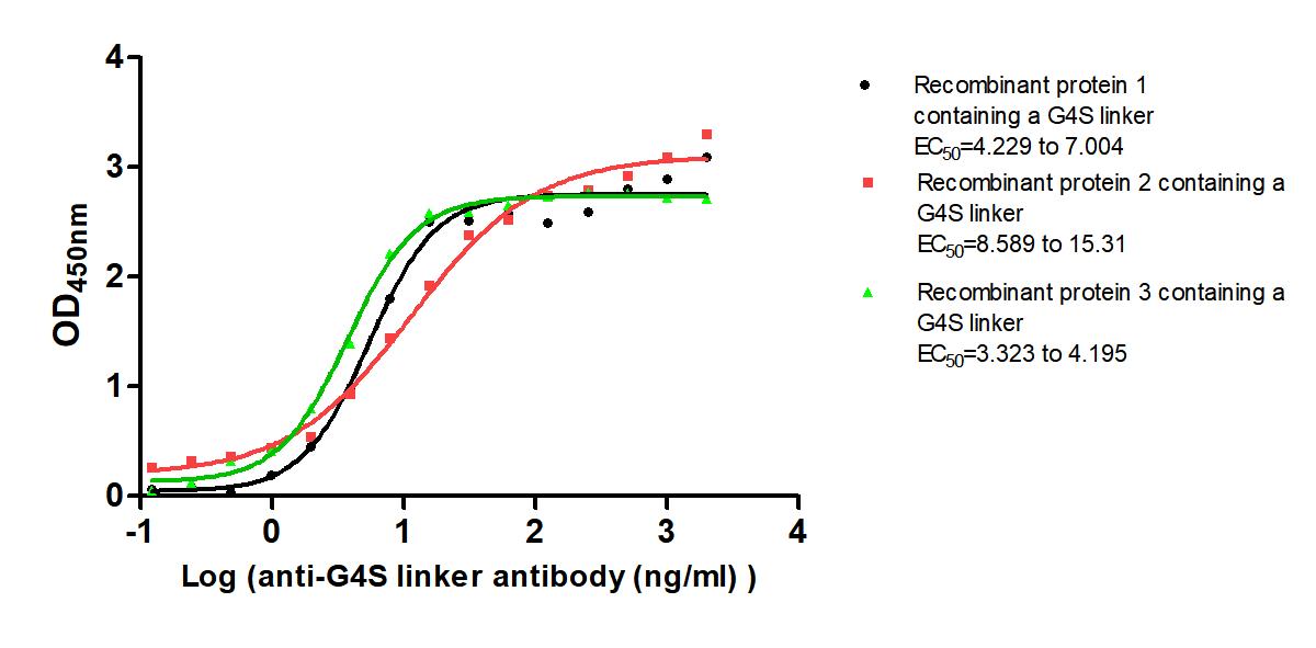 The Binding Activity of G4S linker with Anti-G4S linker antibody Activity: Measured by its binding ability in a functional ELISA. Immobilized Three recombinant proteins containing G4S linker at 2 ug/mL can bind Anti-G4S linker antibody. The EC50 i...