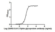 S Monoclonal Antibody