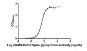 S Monoclonal Antibody