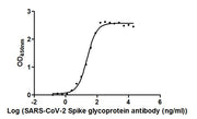 S Monoclonal Antibody