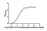 The Binding Activity of SARS-CoV-2-N Antibody with SARS-CoV-2-N Activity: Measured by its binding ability in a functional ELISA. Immobilized SARS-CoV-2-N (CSB-EP3325GMY) at 2 ug/ml can bind SARS-CoV-2-N Antibody, the EC50 is 13.93 to 25.98 ng/ml.