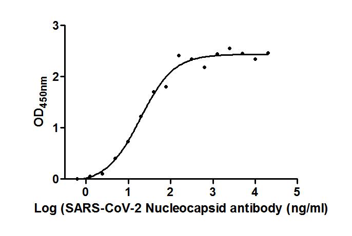 The Binding Activity of SARS-CoV-2-N Antibody with SARS-CoV-2-N Activity: Measured by its binding ability in a functional ELISA. Immobilized SARS-CoV-2-N (CSB-EP3325GMY) at 2 ug/ml can bind SARS-CoV-2-N Antibody, the EC50 is 13.93 to 25.98 ng/ml.