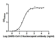 The Binding Activity of SARS-CoV-2-N Antibody with SARS-CoV-2-N Activity: Measured by its binding ability in a functional ELISA. Immobilized SARS-CoV-2-N (CSB-EP3325GMY) at 2 ug/ml can bind SARS-CoV-2-N Antibody, the EC50 is 27.78 to 41.57 ng/ml.