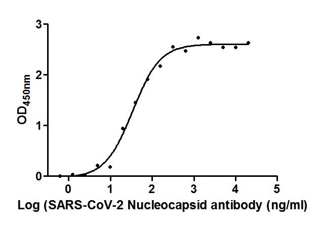 The Binding Activity of SARS-CoV-2-N Antibody with SARS-CoV-2-N Activity: Measured by its binding ability in a functional ELISA. Immobilized SARS-CoV-2-N (CSB-EP3325GMY) at 2 ug/ml can bind SARS-CoV-2-N Antibody, the EC50 is 27.78 to 41.57 ng/ml.