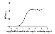 The Binding Activity of SARS-CoV-2-N Antibody with SARS-CoV-2-N Activity: Measured by its binding ability in a functional ELISA. Immobilized SARS-CoV-2-N (CSB-YP3325GMY) at 2 ug/ml can bind SARS-CoV-2-N Antibody, the EC50 is 15.36 to 23.97 ng/ml.