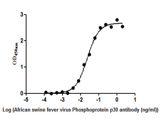 The Binding Activity of African swine fever virus Phosphoprotein p30(Ba71V-93). Activity: Measured by its binding ability in a functional ELISA. Immobilized African swine fever virus Phosphoprotein p30(Ba71V-93) protein at 2 ug/ml can bind African...