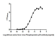 The Binding Activity of African swine fever virus Phosphoprotein p30(Ba71V-93). Activity: Measured by its binding ability in a functional ELISA. Immobilized African swine fever virus Phosphoprotein p30(Ba71V-93) protein at 2 ug/ml can bind African...