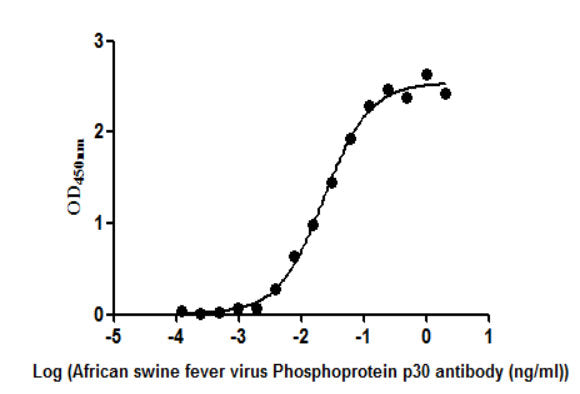 The Binding Activity of African swine fever virus Phosphoprotein p30(Ba71V-93). Activity: Measured by its binding ability in a functional ELISA. Immobilized African swine fever virus Phosphoprotein p30(Ba71V-93) protein at 2 ug/ml can bind African...