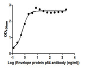 The Binding Activity of African swine fever virus Envelope protein p54 (Ba71V-126). Activity: Measured by its binding ability in a functional ELISA. Immobilized African swine fever virus Envelope protein p54 (Ba71V-126) protein at 2 ug/ml can bind...