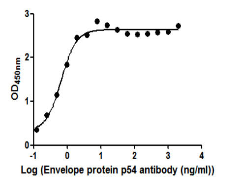 The Binding Activity of African swine fever virus Envelope protein p54 (Ba71V-126). Activity: Measured by its binding ability in a functional ELISA. Immobilized African swine fever virus Envelope protein p54 (Ba71V-126) protein at 2 ug/ml can bind...