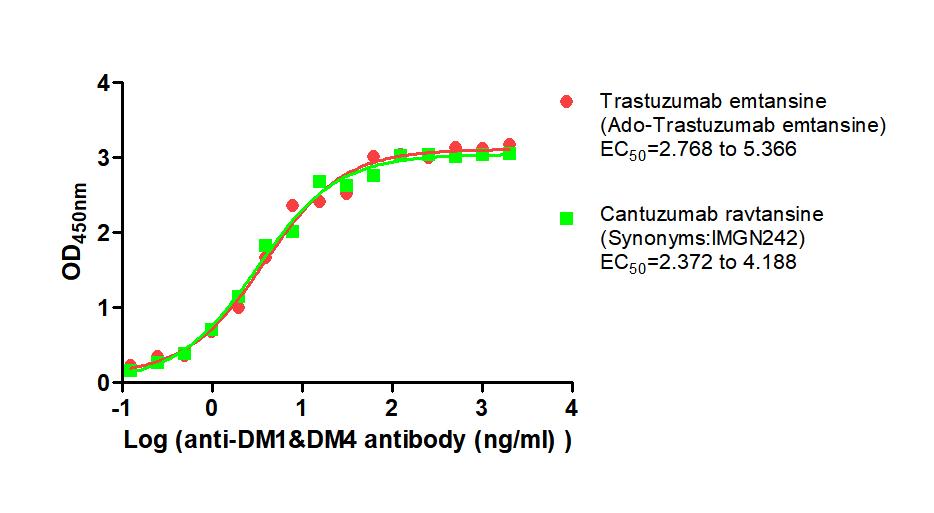 The Binding Activity of Trastuzumab emtansine (Ado-Trastuzumab emtansine) and Cantuzumab ravtansine (Synonyms:IMGN242) with Anti-DM1&DM4 antibody Activity: Measured by its binding ability in a functional ELISA. Immobilized Trastuzumab emtansine (A...