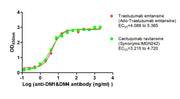 The Binding Activity of Trastuzumab emtansine (Ado-Trastuzumab emtansine) and Cantuzumab ravtansine (Synonyms:IMGN242) with Anti-DM1&DM4 antibody Activity: Measured by its binding ability in a functional ELISA. Immobilized Trastuzumab emtansine (A...