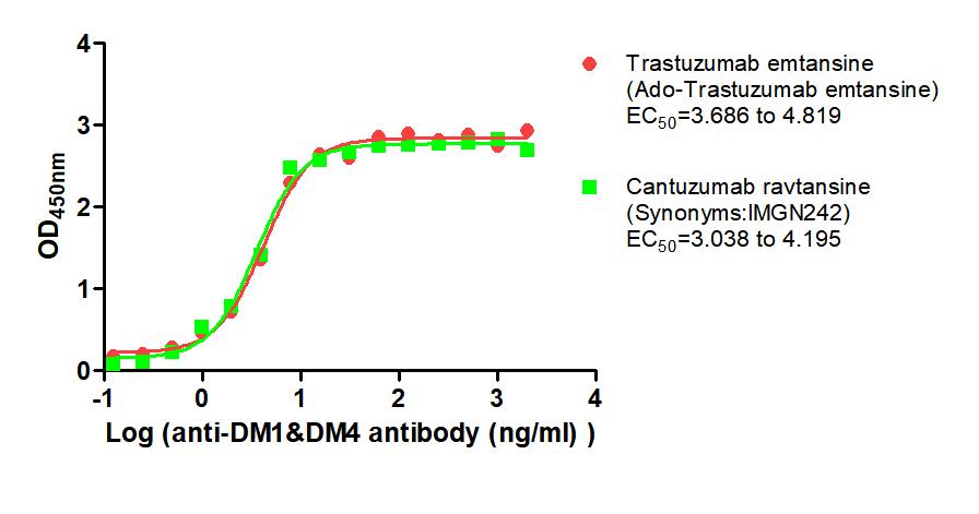 The Binding Activity of Trastuzumab emtansine (Ado-Trastuzumab emtansine) and Cantuzumab ravtansine (Synonyms:IMGN242) with Anti-DM1&DM4 antibody Activity: Measured by its binding ability in a functional ELISA. Immobilized Trastuzumab emtansine (A...