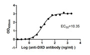 The Binding Activity of ADC-1(DXD) with Anti-DXD-HRP antibody Activity: Measured by its binding ability in a functional ELISA. Immobilized ADC-1(DXD) at 2 ug/mL can bind Anti-DXD-HRP antibody, the EC50 is 8.653 to 12.39 ng/mL.