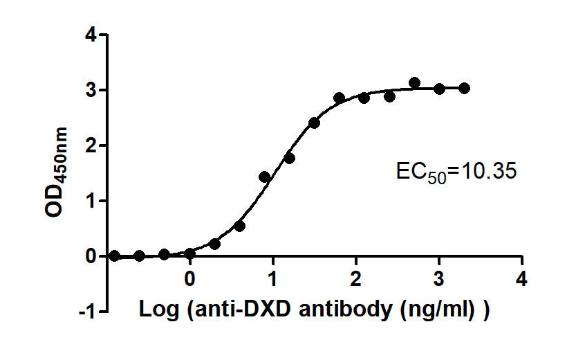 The Binding Activity of ADC-1(DXD) with Anti-DXD-HRP antibody Activity: Measured by its binding ability in a functional ELISA. Immobilized ADC-1(DXD) at 2 ug/mL can bind Anti-DXD-HRP antibody, the EC50 is 8.653 to 12.39 ng/mL.