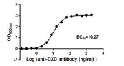 The Binding Activity of ADC-1(DXD) with Anti-DXD-HRP antibody Activity: Measured by its binding ability in a functional ELISA. Immobilized ADC-1(DXD) at 2 ug/mL can bind Anti-DXD-HRP antibody, the EC50 is 9.268 to 11.37 ng/mL.