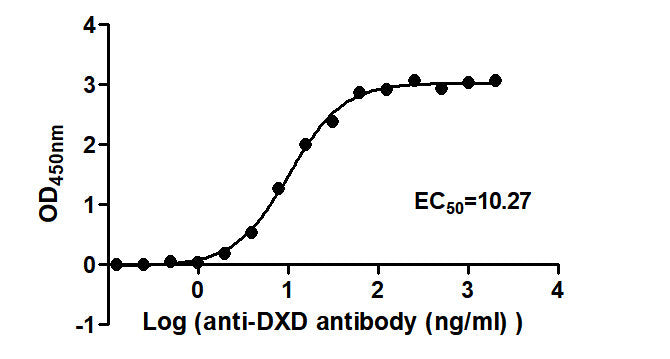 The Binding Activity of ADC-1(DXD) with Anti-DXD-HRP antibody Activity: Measured by its binding ability in a functional ELISA. Immobilized ADC-1(DXD) at 2 ug/mL can bind Anti-DXD-HRP antibody, the EC50 is 9.268 to 11.37 ng/mL.
