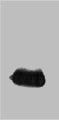 Western blot analysis of EYFP recombinant protein, diluted at 1:5000.