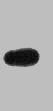 Western blot analysis of EBFP recombinant protein, diluted at 1:5000.