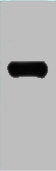 Western blot analysis of Recombinant LexA protein using LexA DNA Binding Region Polyclonal Antibody.
