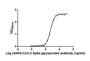 The Binding Activity of SARS-CoV-2-S Antibody with SARS-CoV-2-S1-RBD Activity: Measured by its binding ability in a functional ELISA. Immobilized SARS-CoV-2-S1-RBD (<a href=