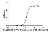 The Binding Activity of SARS-CoV-2-N Antibody with SARS-CoV-2-N Activity: Measured by its binding ability in a functional ELISA. Immobilized SARS-CoV-2-N (CSB-EP3325GMY) at 2 ug/ml can bind SARS-CoV-2-N Antibody, the EC50 is 201.1 ng/ml.