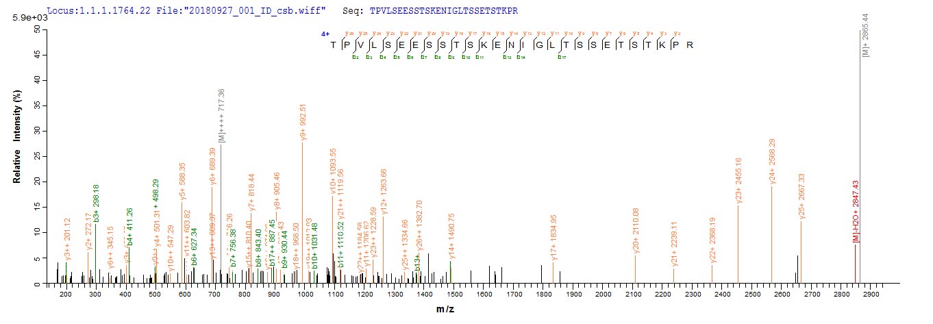 Recombinant Moraxella bovis Fimbrial protein 1