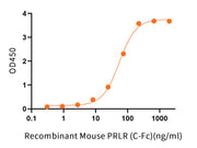 Recombinant Sheep PRL (C-6His)
