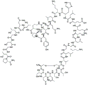 Calcitonin
