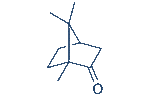 (+)-Camphor